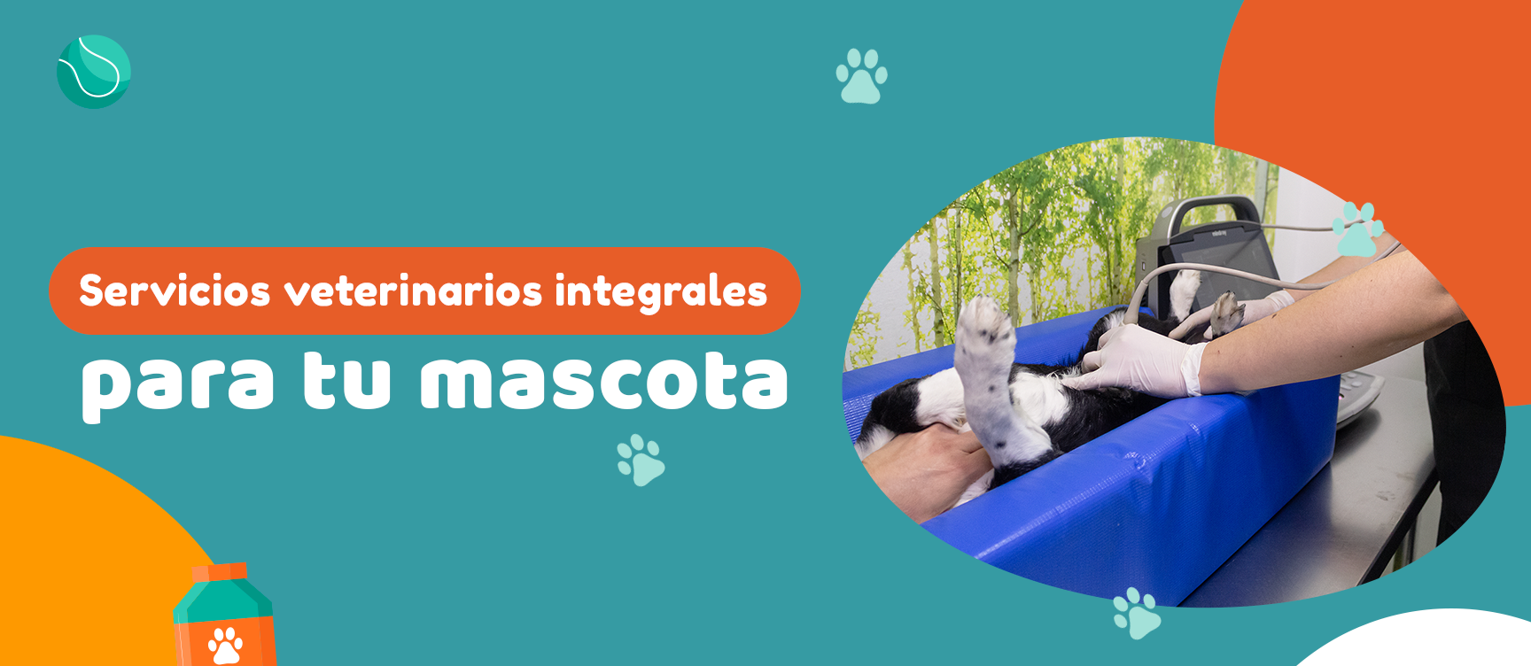 Veterinaria Providencia