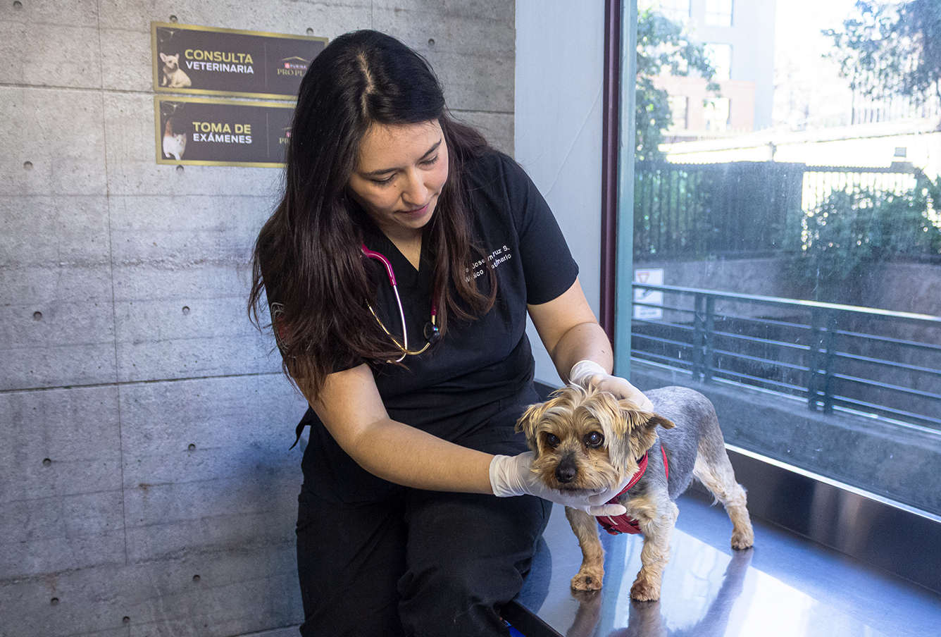 Medicina interna general