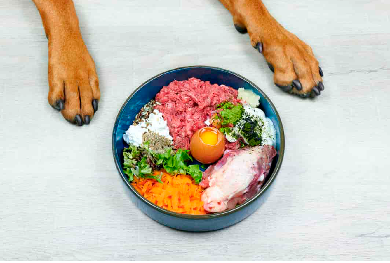 Gastroenterología y Nutrición